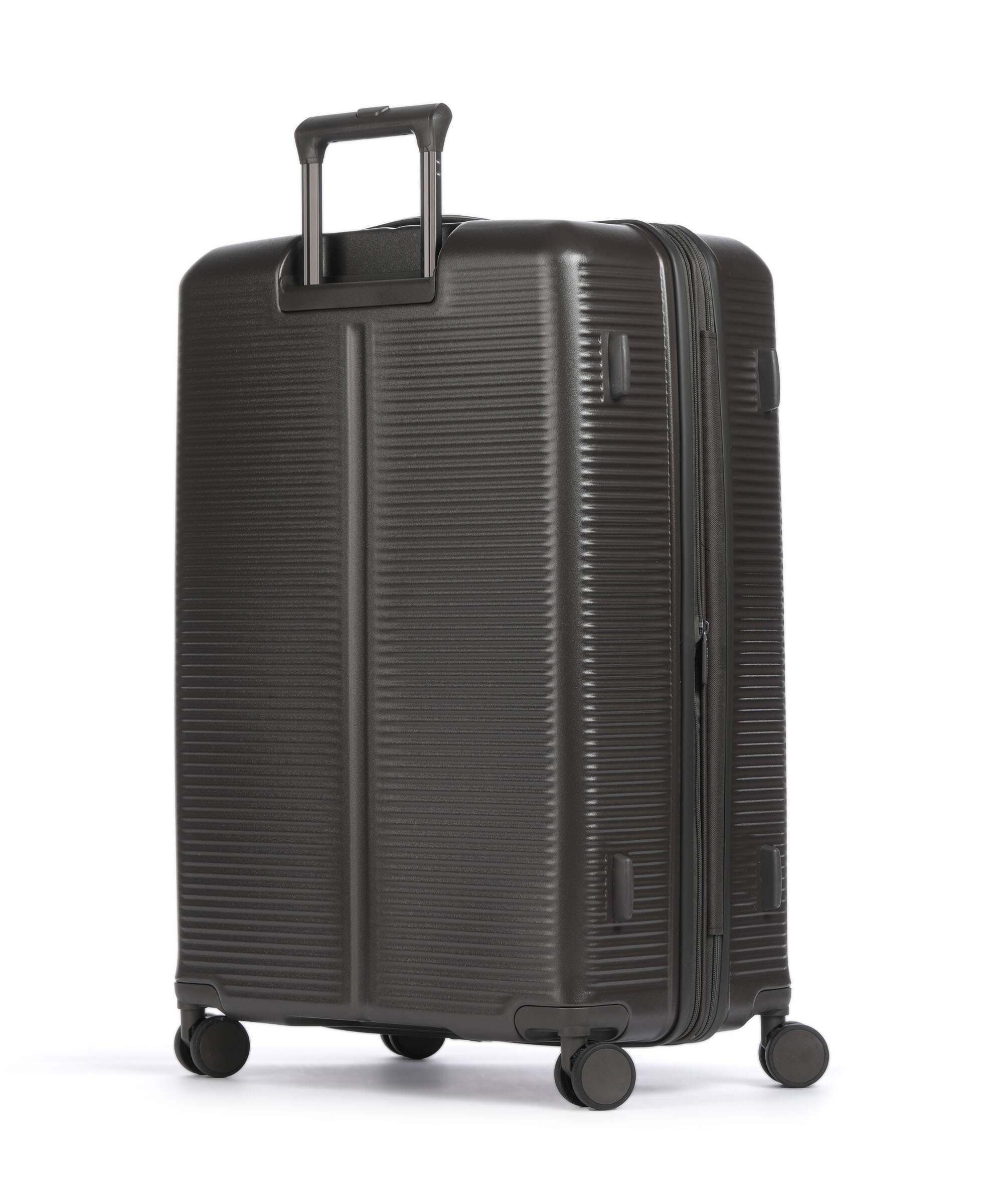 Jump Hendaye Spinner (4 wheels) mocha