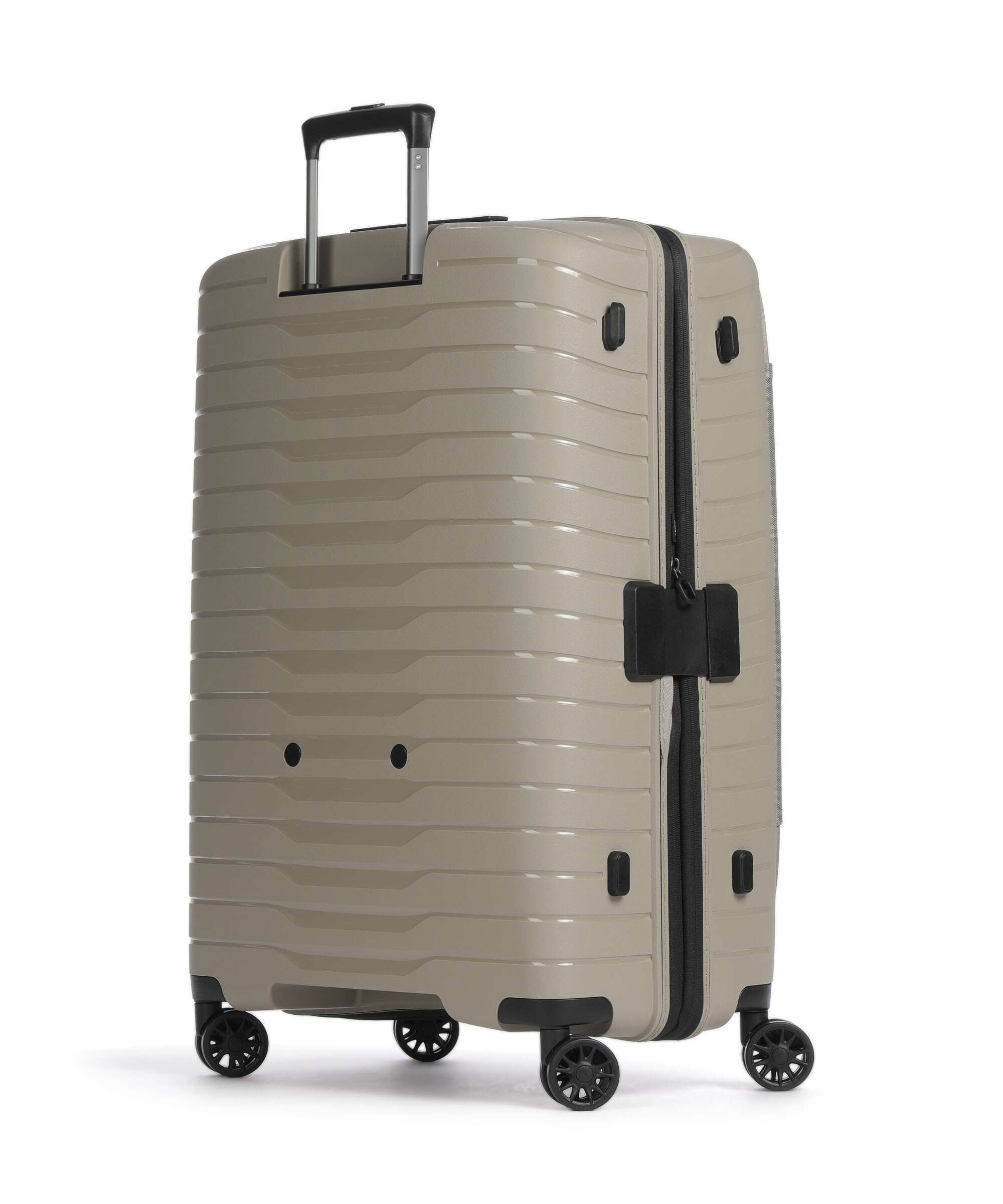 Stratic Novium ML Spinner (4 wheels) sand