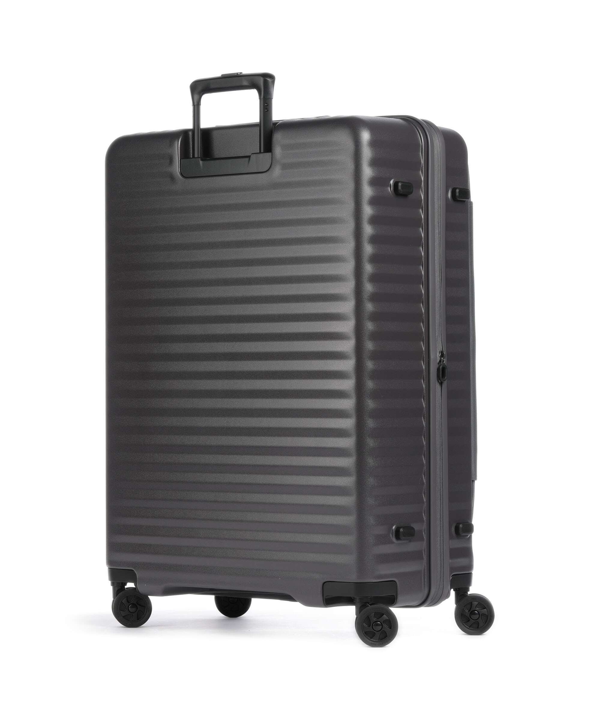 Echolac Celestra FA L Spinner (4 wheels) dark grey