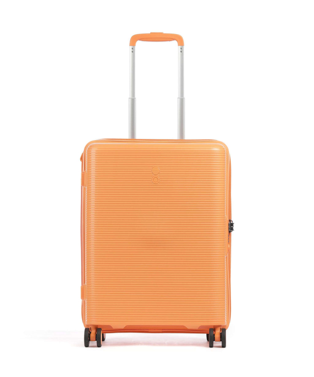 Echolac Forza S Spinner (4 wheels) apricot crush