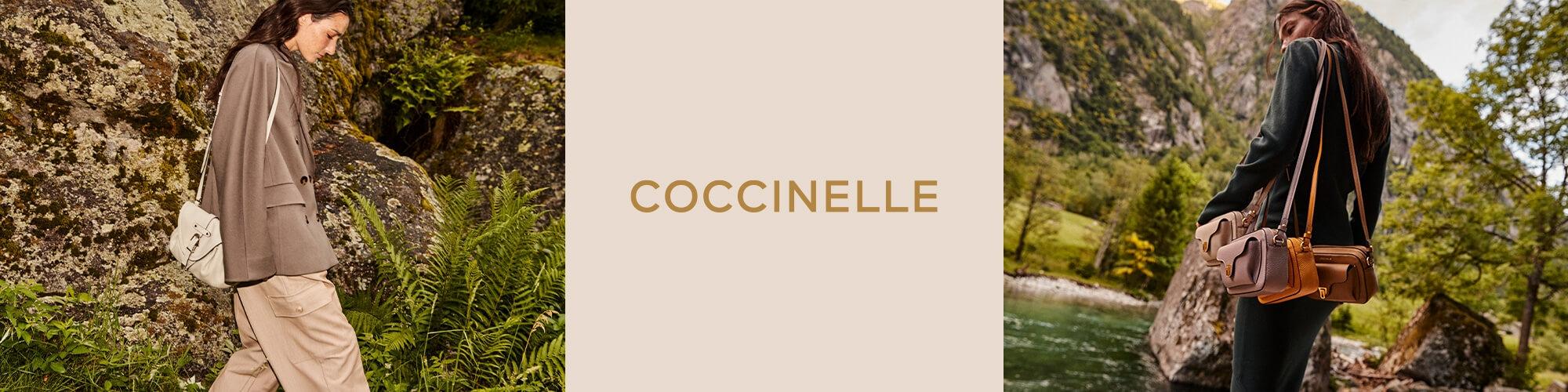 Coccinelle Coccinelle