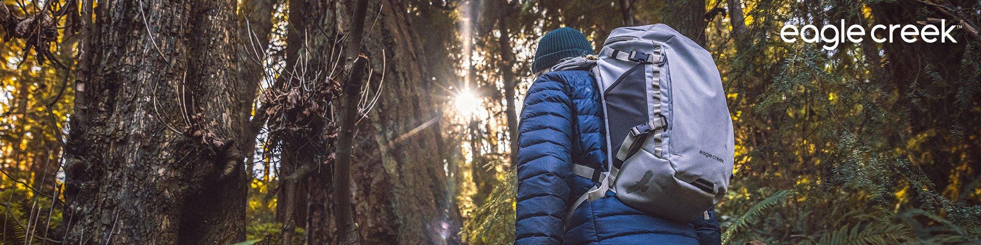 Eagle creek hardside luggage online